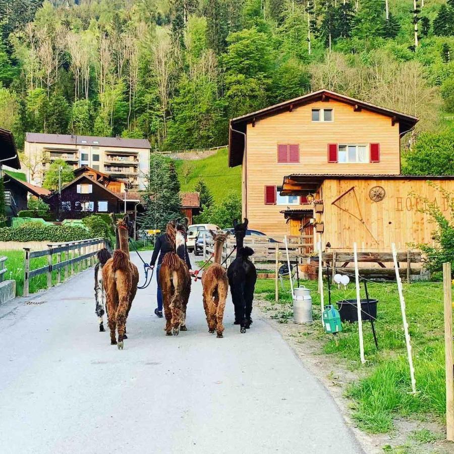 Отель Jurte Beim Lama- & Alpakahof Тризенберг Экстерьер фото